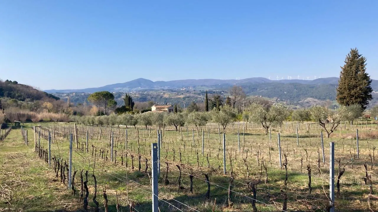 Le Giuncaie - Vigna Con Alloggio Montescudaio Bauernhof