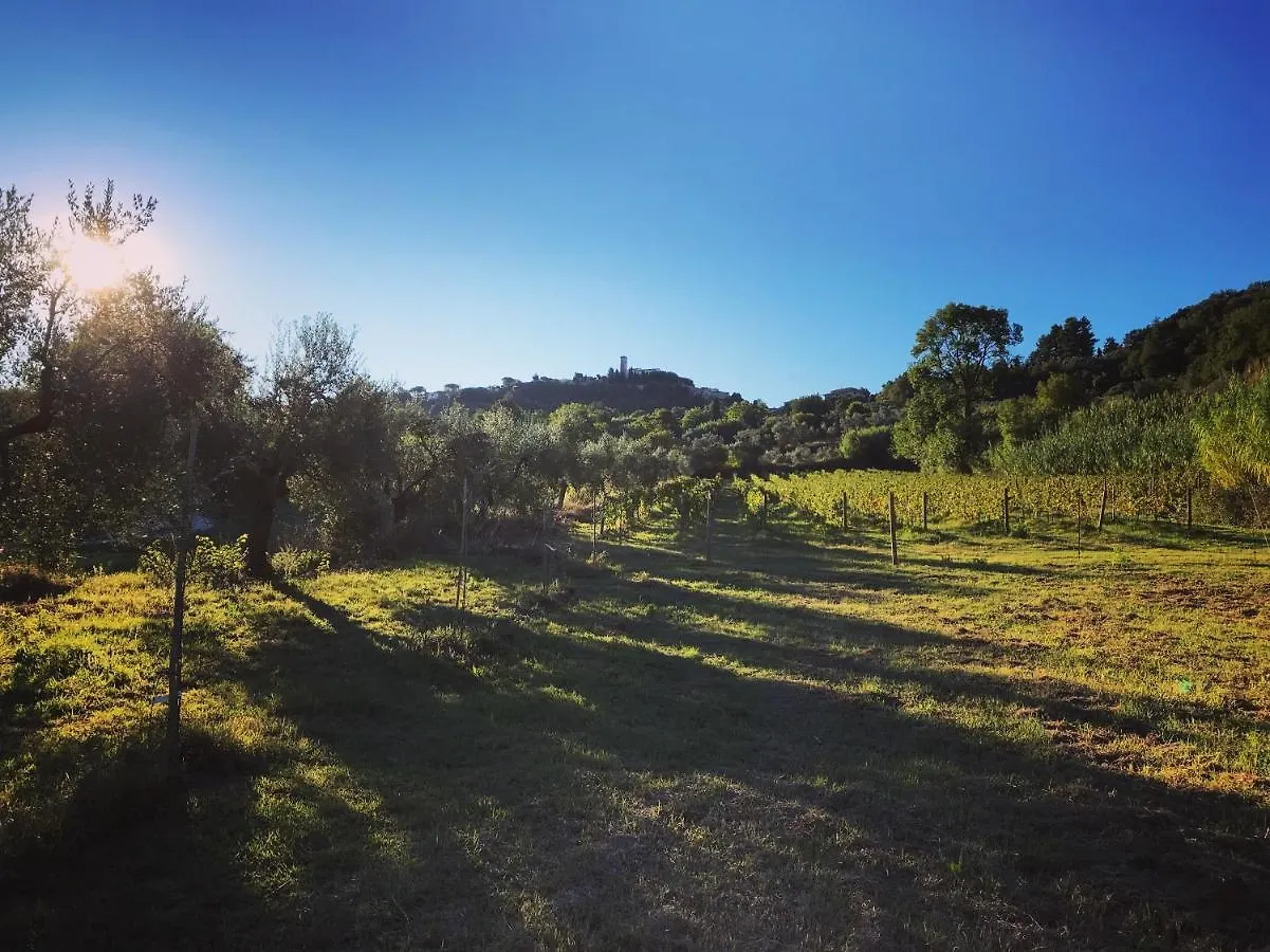 Le Giuncaie - Vigna Con Alloggio Montescudaio 0*,  Italien