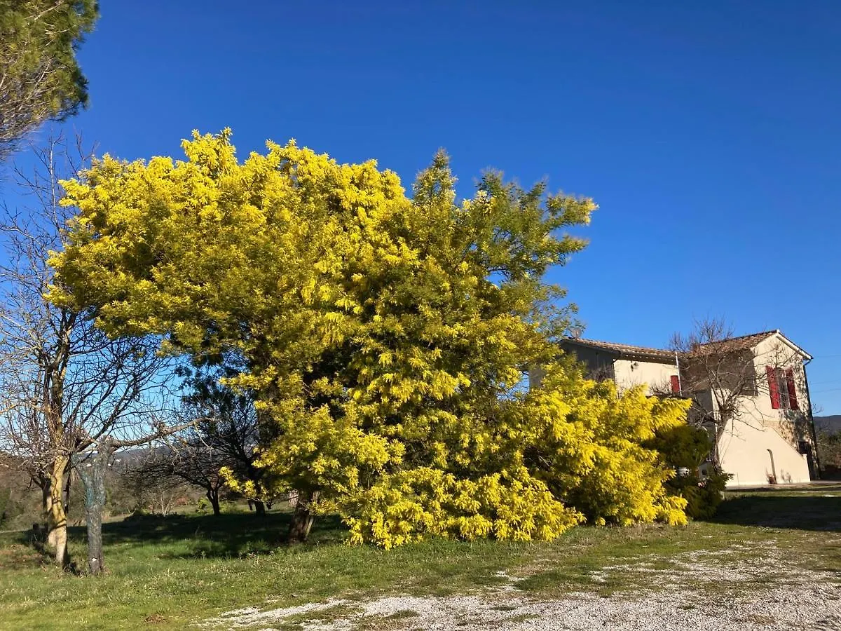 Le Giuncaie - Vigna Con Alloggio Montescudaio