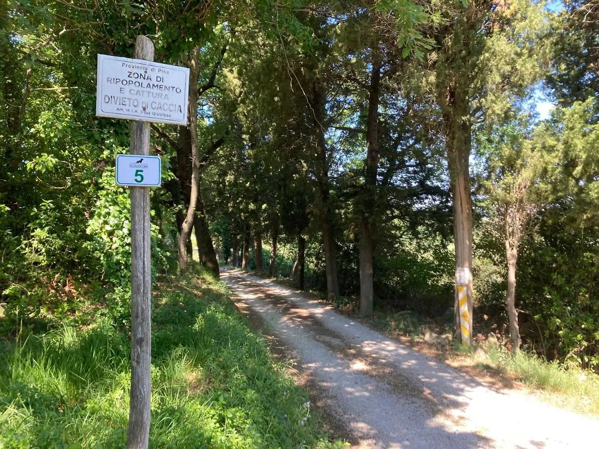 Le Giuncaie - Vigna Con Alloggio Montescudaio Italien