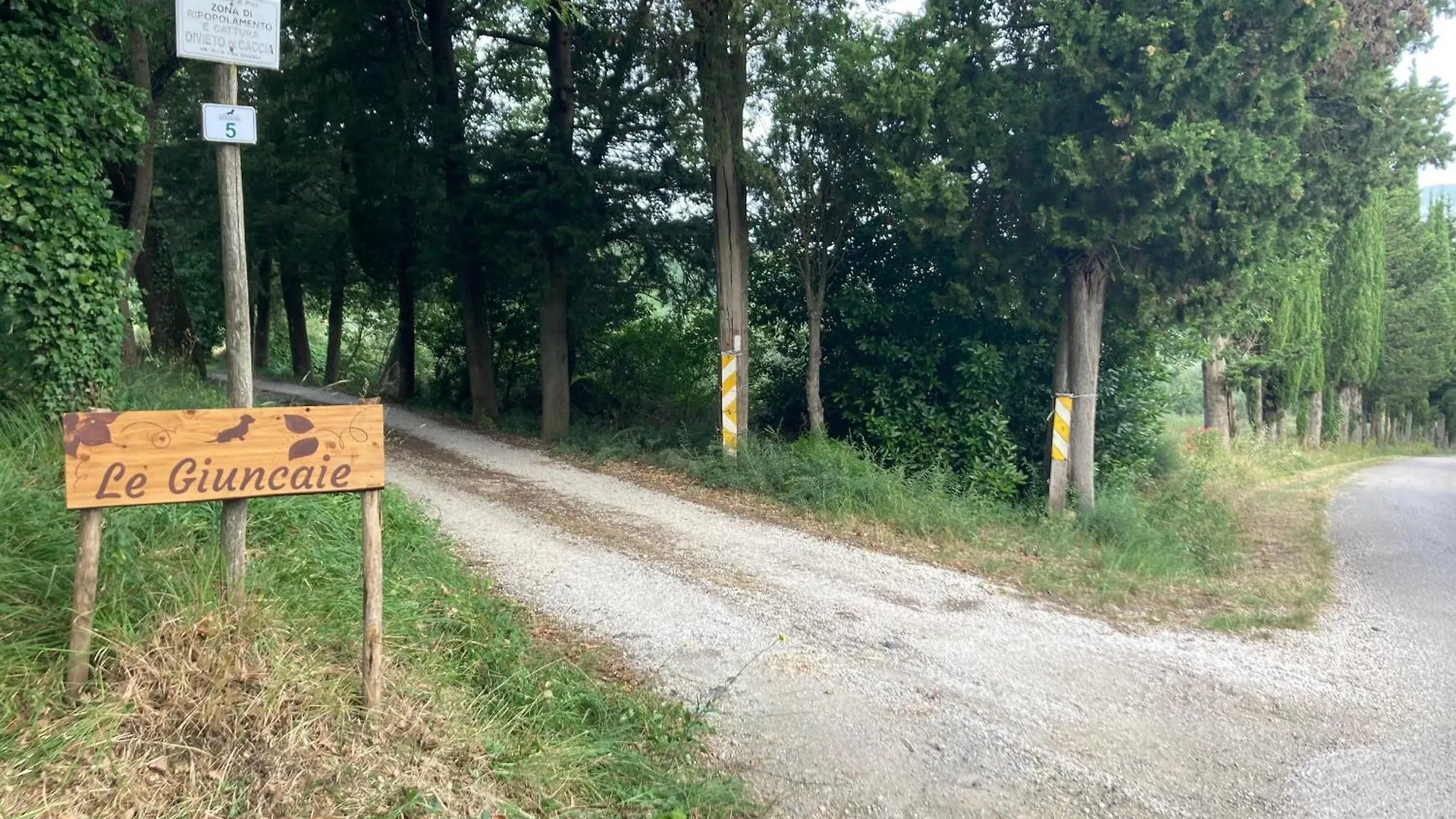 Bauernhof Le Giuncaie - Vigna Con Alloggio Montescudaio